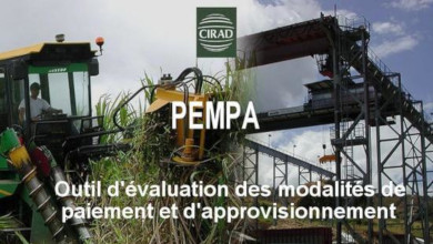 PEMPA : Application développée pour le centre de recherche CIRAD, en Visual Basic.Net