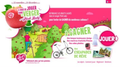 Jeu concours Facebook en HTML5, PHP et MySQL pour la marque Pink Lady